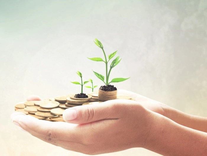 About PDL NIDHI LIMITED